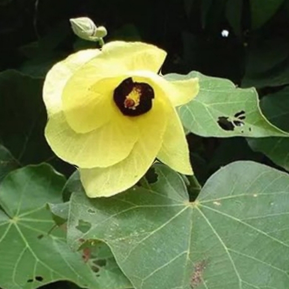 I'm featured today - Picture 5 of 15